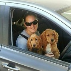 Chandre Van Der Vorst