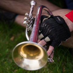 Acoustic Bicycle Tour