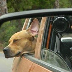 Yanira Rodriguez Ingelmo