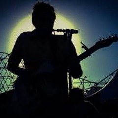 wild pack of canaries