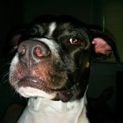 Richard Henderson 27