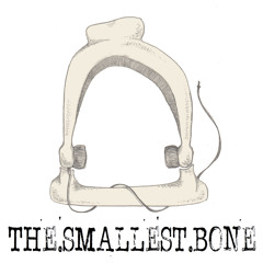 The Smallest Bone