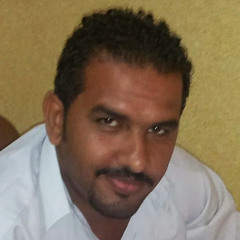Ahmed Atef 533