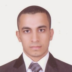 eng shehata Mohamed