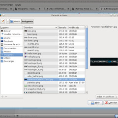 Miguel Ángel Jimeno Arce