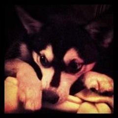 user511431780