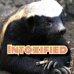 INTOXIFIED
