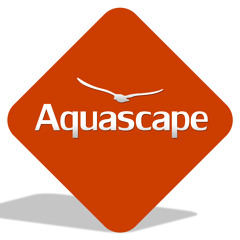 AquascapeSamples