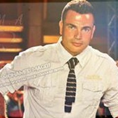Mohamed Magdy 1053