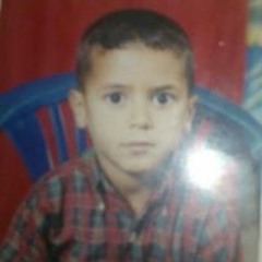 ibraede