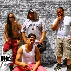 Los Leones NYC