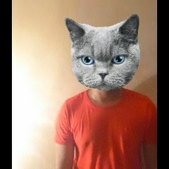 Fariz Aqil