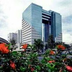 Arcenia D Hernandez Donis