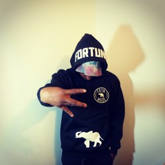 The Mike Fortune