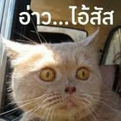 ิิ