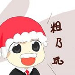 Ricky Wu 13