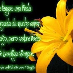 Rosa Ramos 25