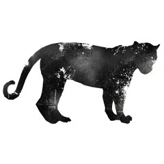 Panthera Moving