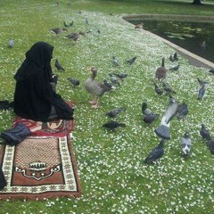 ghayty_alganna