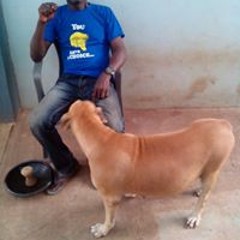 Nii Amfo Smart-Abbey