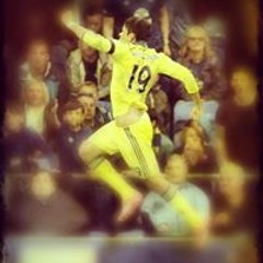 Gino Chalis Roots Ginseng