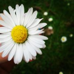 Sandra Liliana Cioara