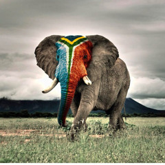 UNNALEINCCAMPAIGN2015