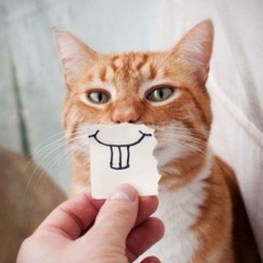 CattyEve