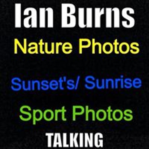 Ian Burns 16’s avatar