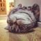 Lazykezt