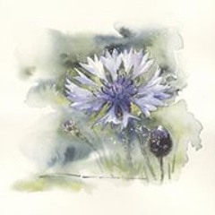 Dahin Meghelli Gaouar