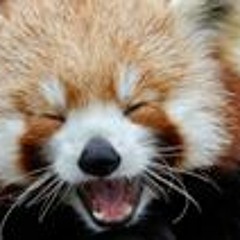 Marlon Altiparmakian