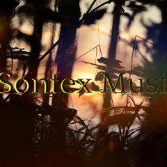Sontex-Music