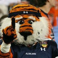 Brenda Turner-Levett