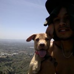 Omar Dah Charmer Meza