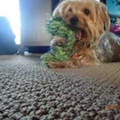 Shenali Thewarapperuma