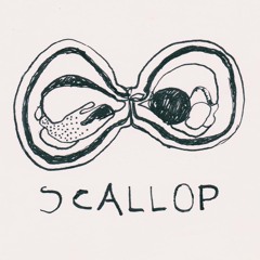 SCALLOP