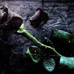 Victoria A Rodriguez