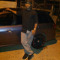 Jason Lewis 65