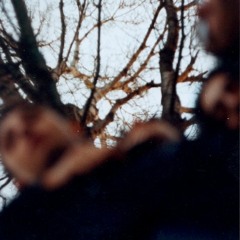 Viola Pseudoselen Live-al-Nexus 28-09-01