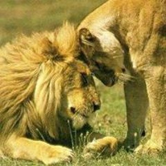 Toya Khadijah Lenore