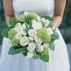 Shaimaa Farouk 10