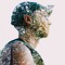 tortoiseleak