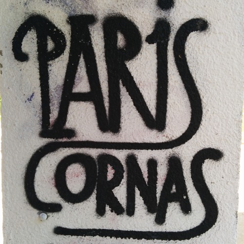 W.LV.S (Electric Rescue & The Driver) - Misericordia - [AR08] - DASH