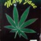 Maary Jane 1