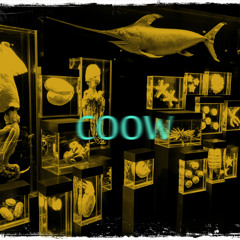 COOW