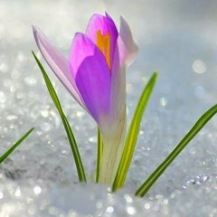 موسيقي لعبد الوهاب