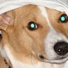 Suzanne Taschner-Ewald