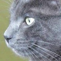 Cameron John McChesney