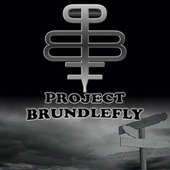 Project Brundlefly